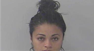 Hendi Llerena - St. Lucie County, FL 